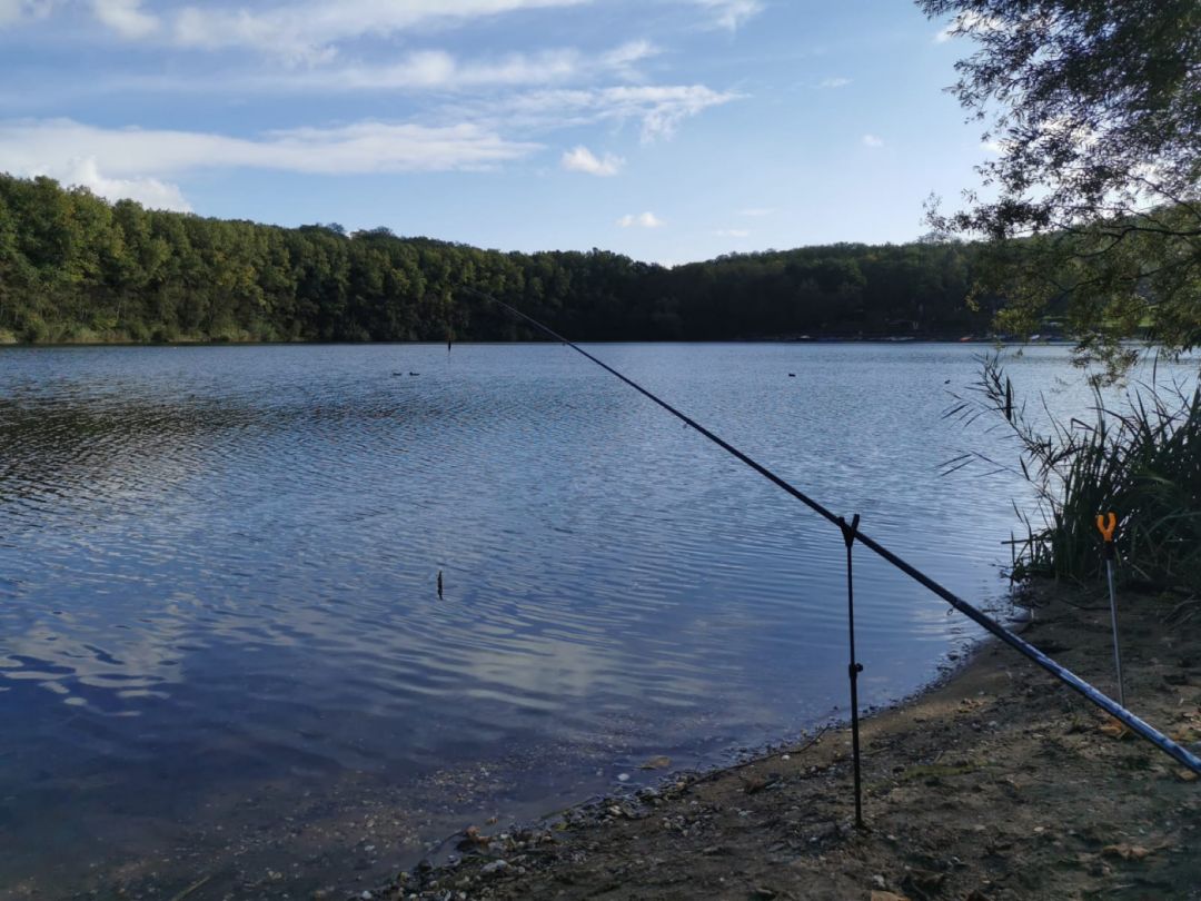 Waldsee Moers angeln