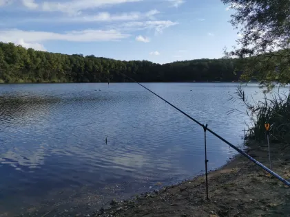 Waldsee Moers