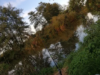 Aisch (Willersdorf)