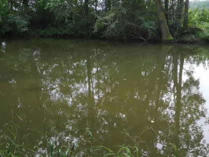 Itz (Unterwohlsbach)