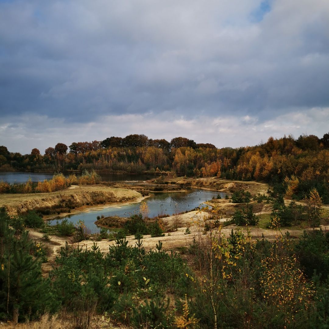 Dingsteder See angeln