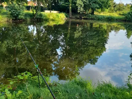 Heckenteich (Gatersleben)
