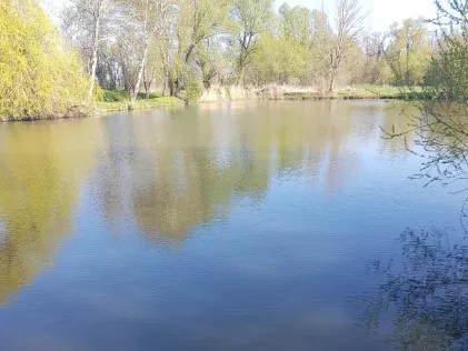 Dorfteich Nordgermersleben