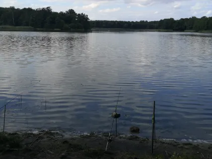 Haussee (Wolfshagen)