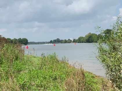 Maas (Wanssum)