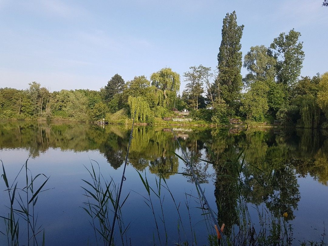 Martinsgrube (Frankfurt-Schwanheim) angeln