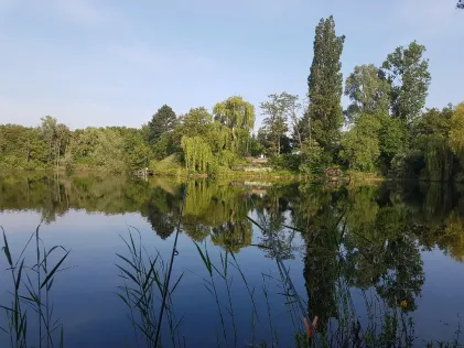 Martinsgrube (Frankfurt-Schwanheim)