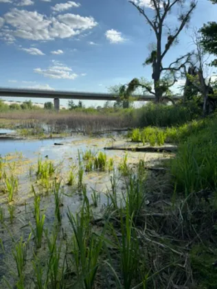 Röthe (Schönebeck)