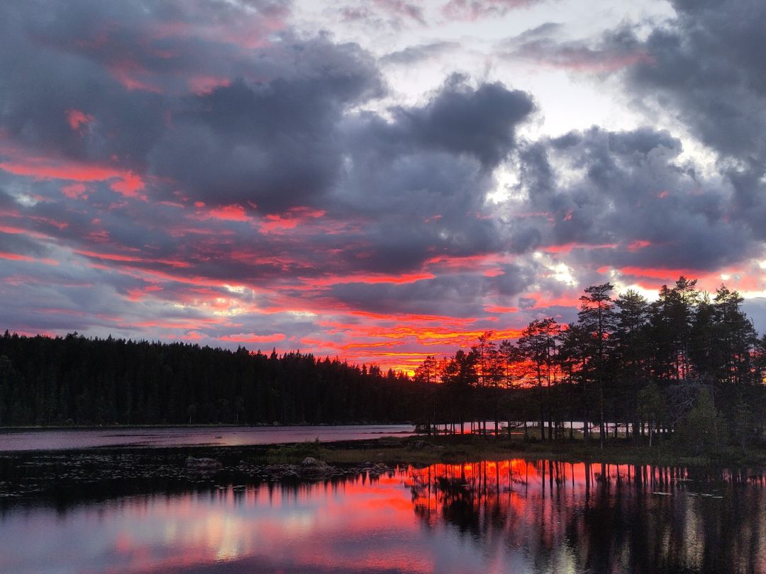 Stora Sörsjön angeln