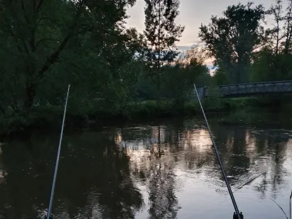 Rednitz (Fürth)