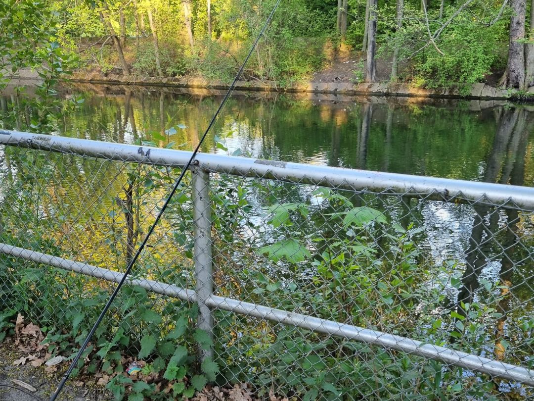 Landwehrkanal (Berlin-Treptow) angeln