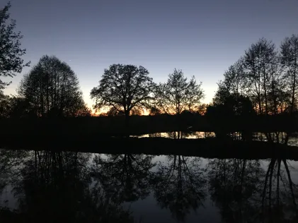 Fischbeker Teiche