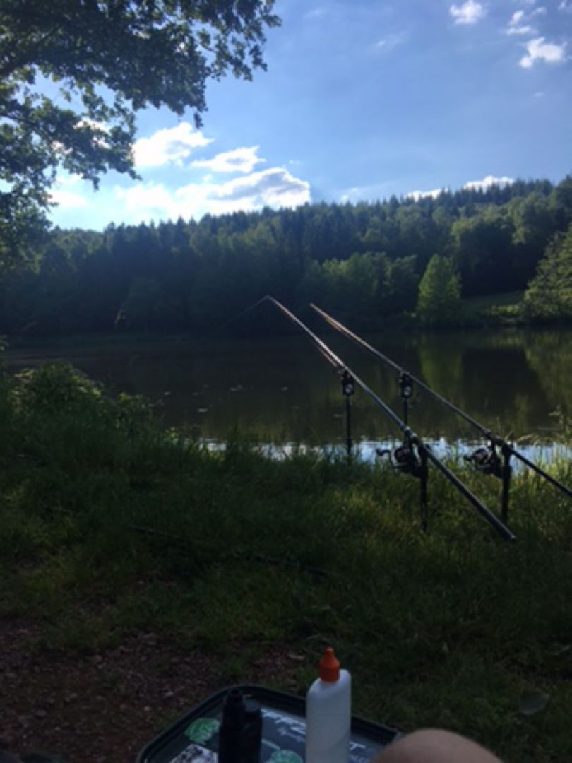 Glashütter Weiher (Rohrbach) angeln