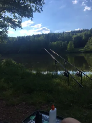 Glashütter Weiher (Rohrbach)