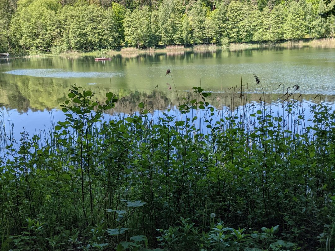 Roter See (Brüel) angeln