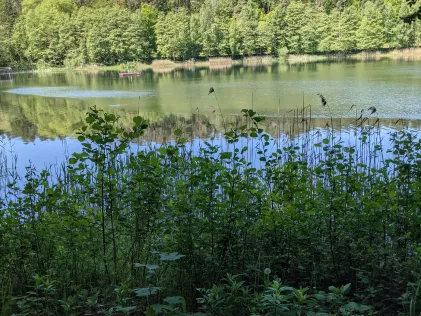Roter See (Brüel)