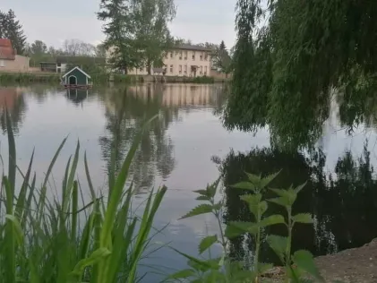 Warmsdorfer Teich
