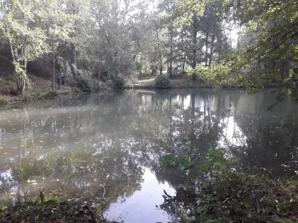 Hartenburgteiche