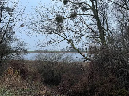 Blankenburger See (Uckermark)