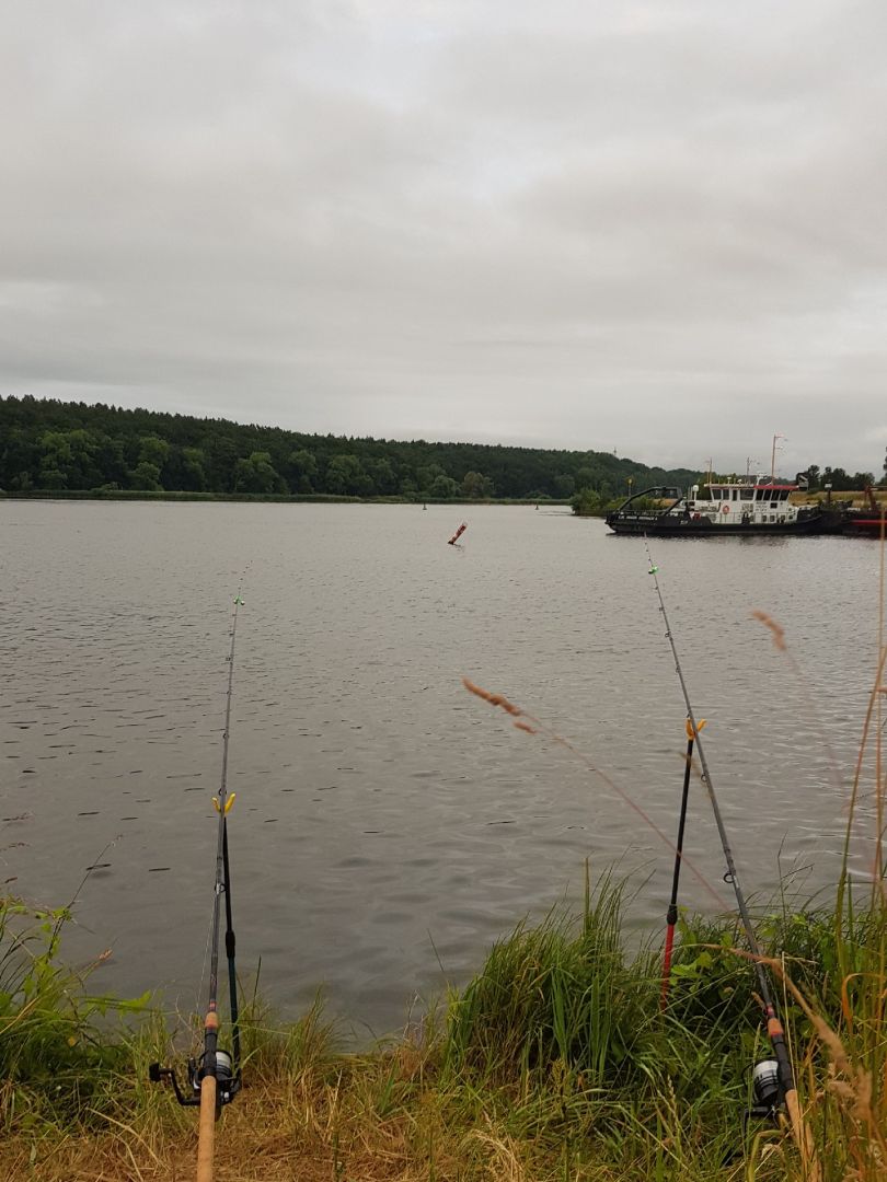 Elbe-Seitenkanal (Artlenburg) angeln
