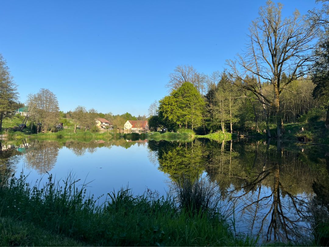 Angeln in Fichtenau