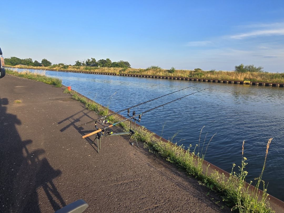 Mittellandkanal (Magdeburg) angeln