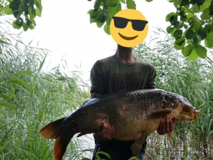Bachgrundsee