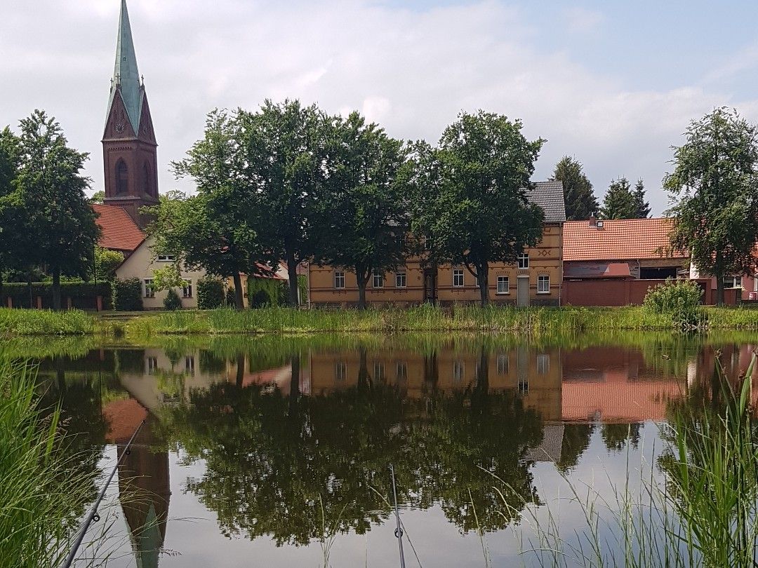 Dorfteich Wahlsdorf angeln