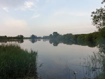 Jalmer See