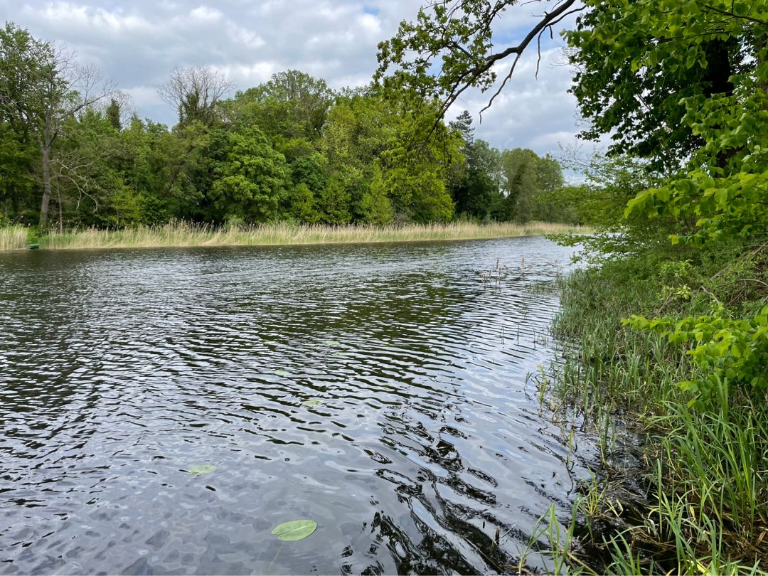 Dorfteich Polßen angeln