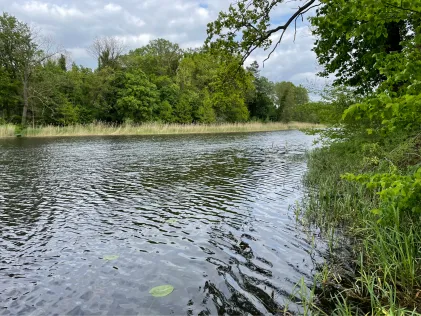 Dorfteich Polßen