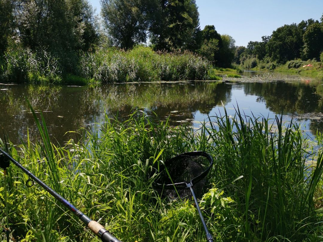 Havel (Oranienburg) angeln