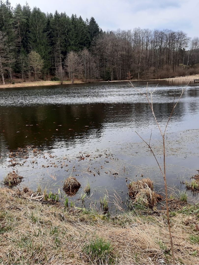 Oberer Teich Eisfeld angeln