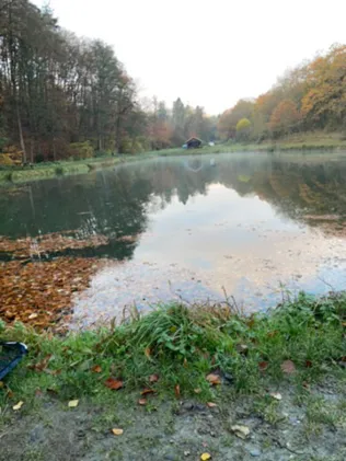 Fischzucht Korb
