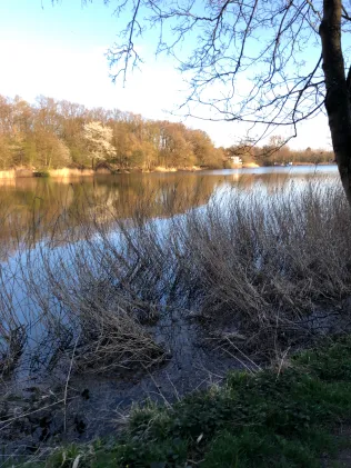 Cappenberger See