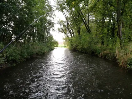 Gera (Molsdorf)