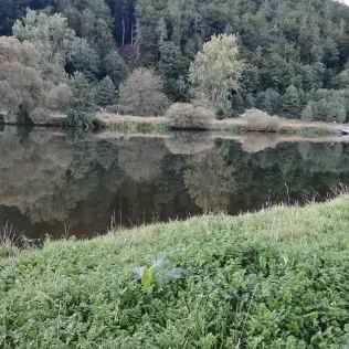 Fulda (Hann. Münden)