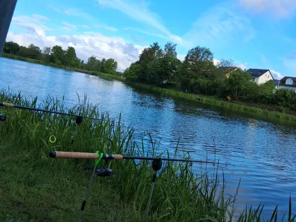 Karpfenteich Tauperlitz