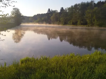 Angelweiher SFV Offenbau