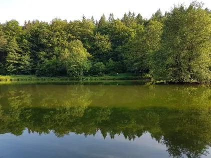 Himmelsteich (Heringen)