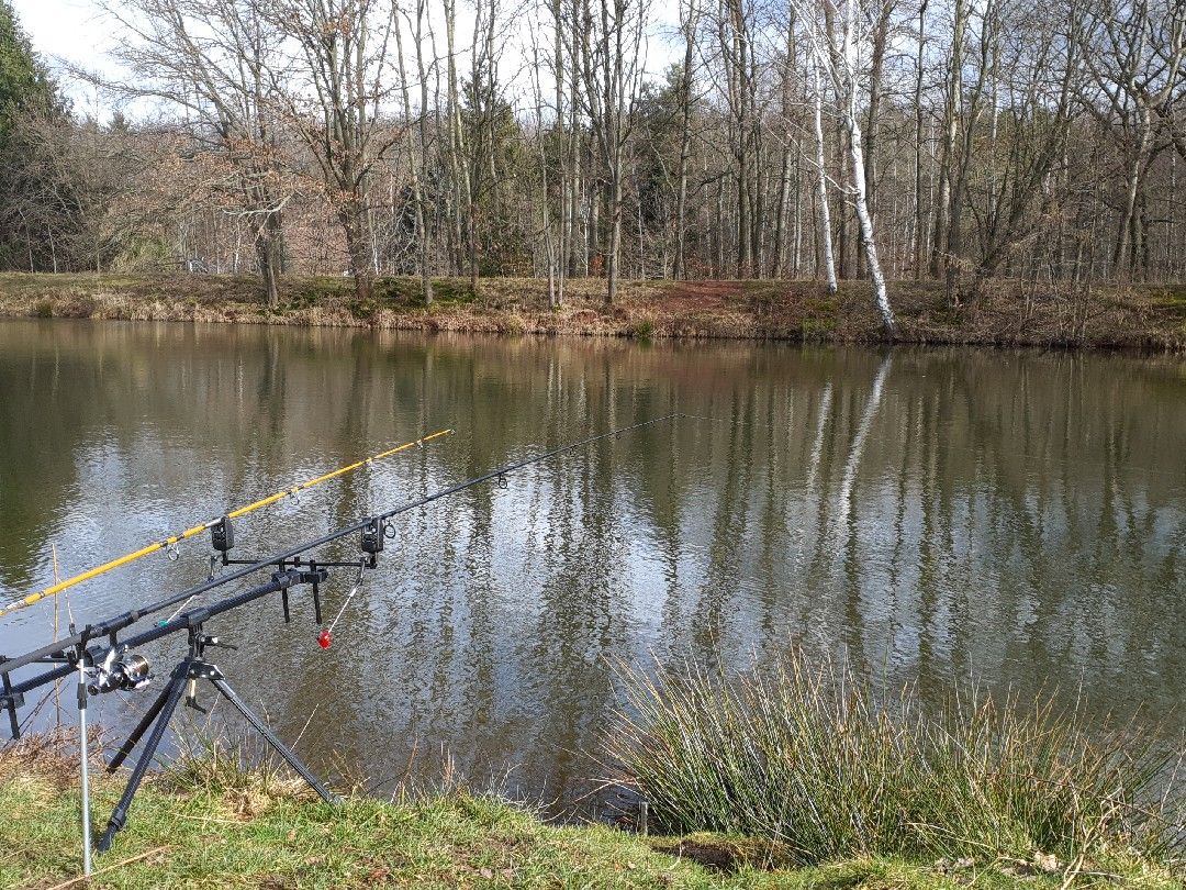 Staubecken Waldesruh angeln