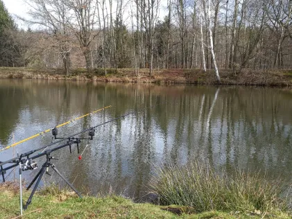 Staubecken Waldesruh