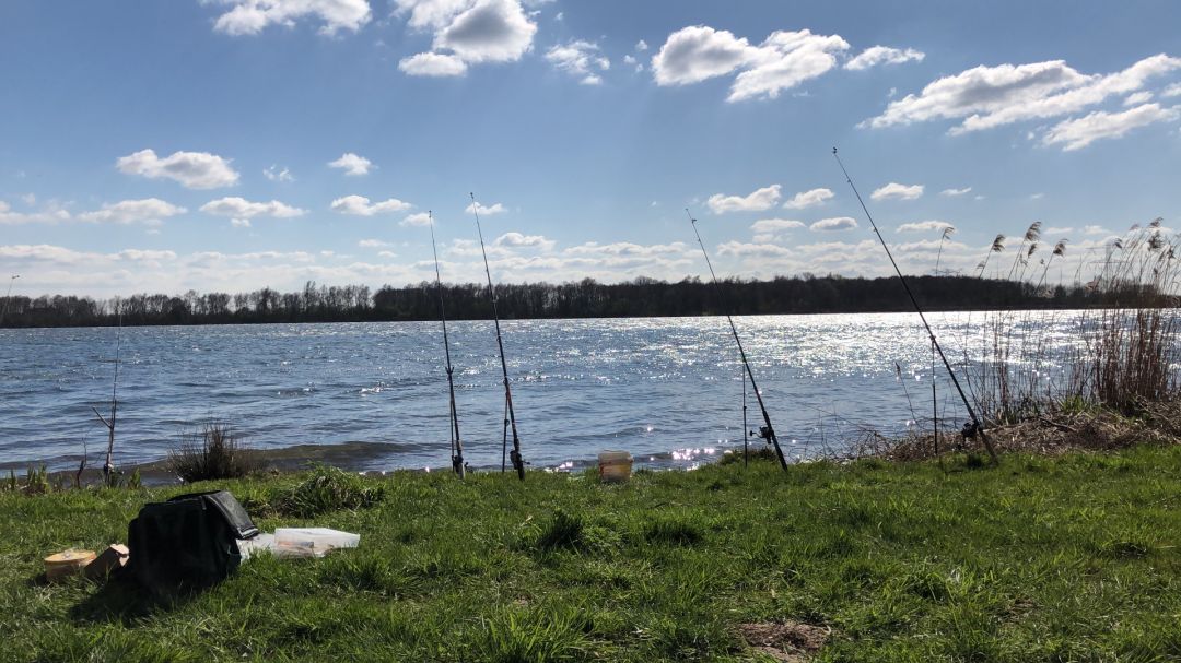 Kraaijenbergse Plassen angeln