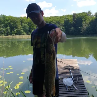Stribbowsee