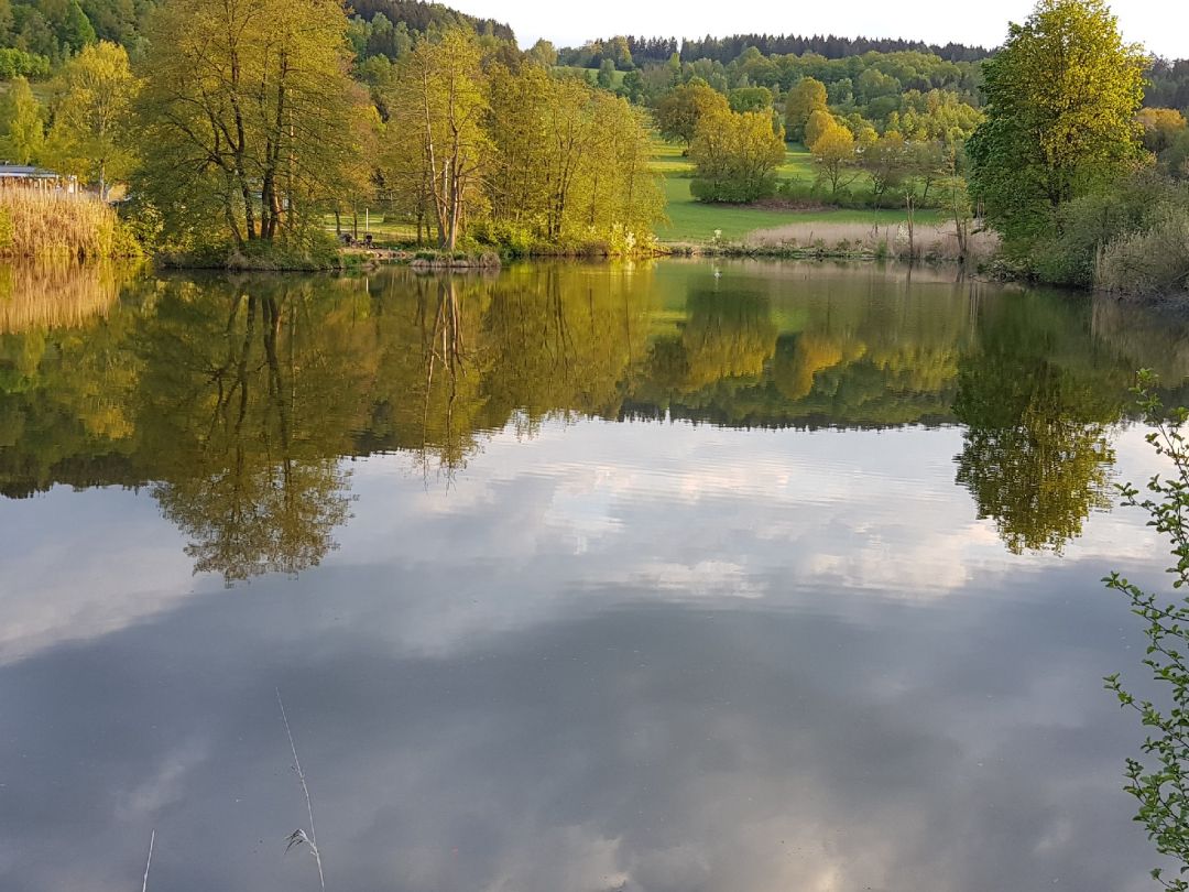 Weißmüllerweiher angeln