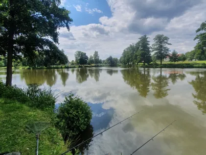 Großer Stadtweiher (Auerbach)
