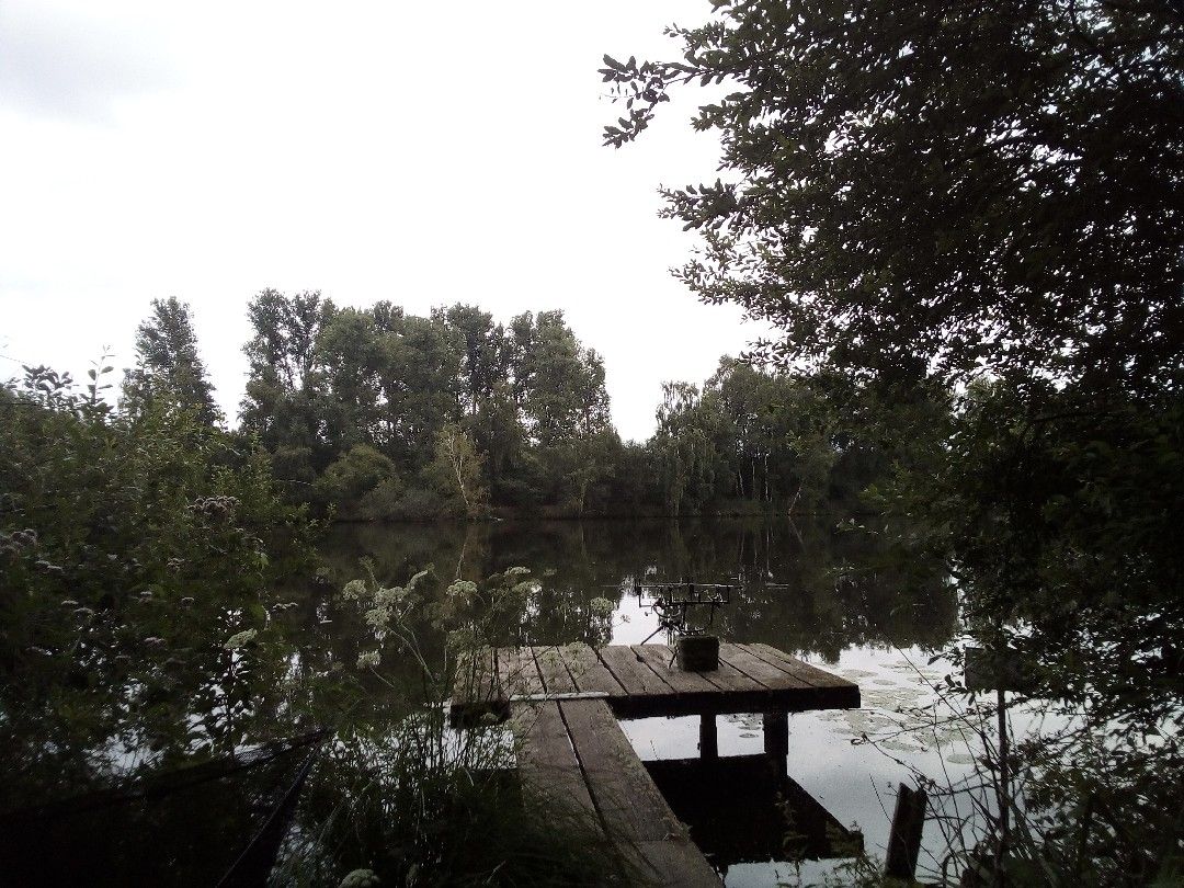 Angeln in Brüggen