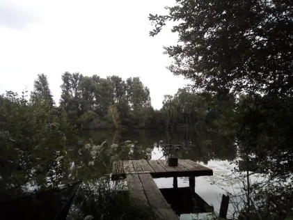 Borner See