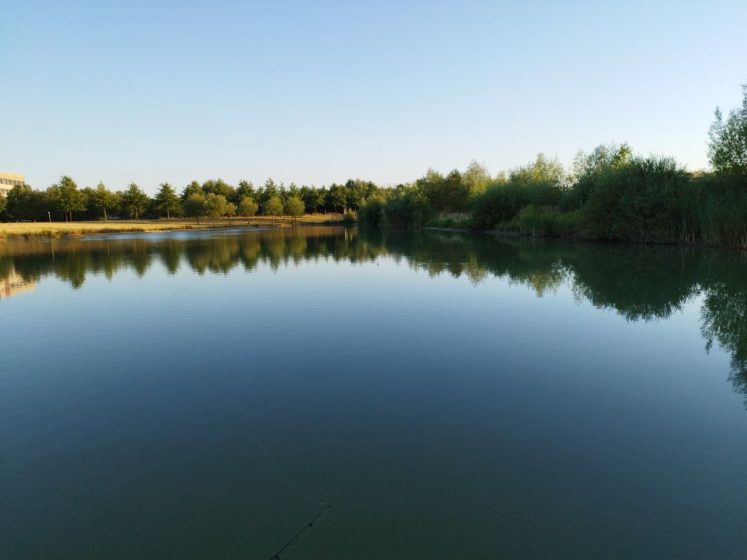 Parkteich Paunsdorf angeln