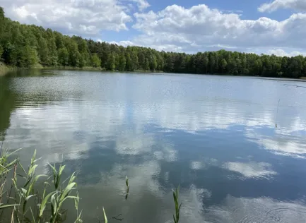 Teichanlage 4 des ASV Bergen (Oldendorf)